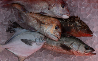 11月の鮮魚詰め合わせに含まれる魚介類