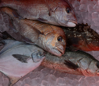 11月の鮮魚詰め合わせに含まれる魚介類